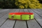 Preview: Biothane Blood Tracking Collar 32/19mm