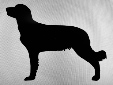 Car-Sticker "Weimaraner Langhaar"