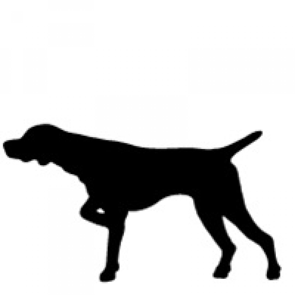 Car-Sticker "Weimaraner, korte staart"