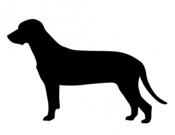 Car-Sticker "Bayerischer Gebirgsschweißhund"