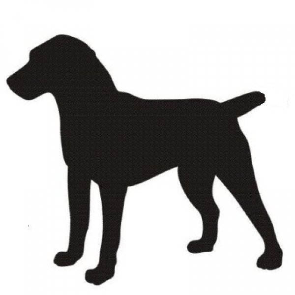 Car-Sticker "Deutscher Jagdterrier, kupiert"