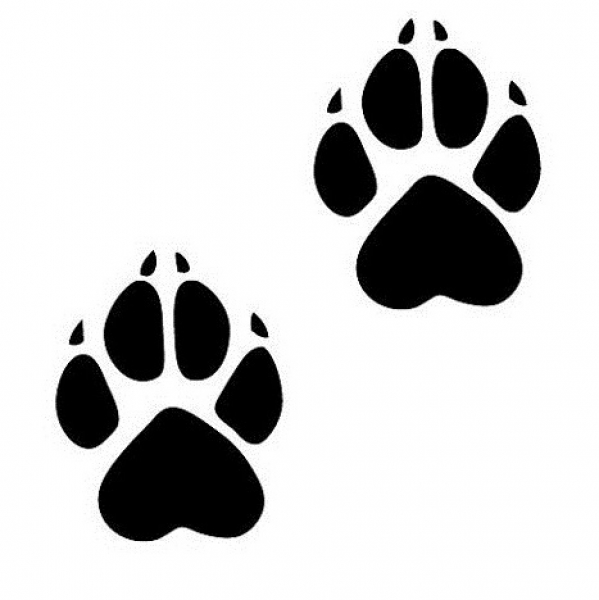 Car-Sticker "Paw Track Print"