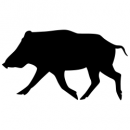 Car-Sticker "Wildschwein"