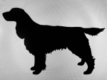 Car-Sticker "English Springer Spaniel"