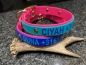 Preview: Biothane Halsband+PRINT 19/25 "bicolor" (Schnalle)