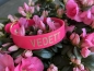 Preview: magenta