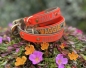 Preview: Biothane Halsband+PRINT 19/25 "bicolor" (Schnalle)