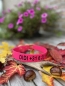 Preview: Biothane Halsband MIT PRINT, 19mm (Schnalle)