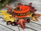 Preview: Biothane Halsband MIT PRINT 25/50mm "bicolor" (Schnalle)