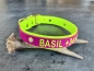 Preview: Biothane Halsband+PRINT 19/25 "bicolor" (Schnalle)