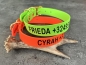 Preview: Biothane Halsband MIT PRINT, 19mm (Schnalle)