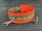 Preview: Biothane Halsband MIT PRINT 25/50mm "bicolor" (Schnalle)