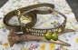 Preview: FieldTral Halsband mit PRINT