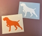 Preview: 1 GRATIS Sticker bei jeder Bestellung -adorit-August-Aktion-