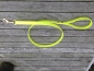 Preview: Biothane Leine 19mm