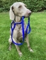 Preview: Biothane Jagd-Leine 19mm "HAIKO"