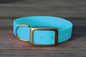 Preview: Biothane Halsband 25mm (Schnalle) in cyan-blau — handgefertigt
