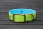 Preview: Biothane Halsband 19/25mm "bicolor" (Schnalle) bicolor: apfel-grün / cyan-blau — handgefertigt