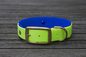 Preview: Biothane Halsband 19/25mm "bicolor" (Schnalle) bicolor: apfel-grün / dunkel-blau — handgefertigt