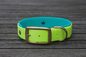 Preview: Biothane Halsband 19/25mm "bicolor" (Schnalle) bicolor: apfel-grün / türkis-grün — handgefertigt