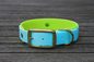 Preview: Biothane Halsband 19/25mm "bicolor" (Schnalle) bicolor: cyan-blau / apfel-grün — handgefertigt