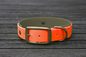Preview: Biothane Halsband 19/25mm "bicolor" (Schnalle) bicolor: neon-orange / olive / Jagd-grün — handgefertigt