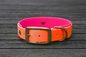 Preview: Biothane Halsband 19/25mm "bicolor" (Schnalle) bicolor: neon-orange / magenta — handgefertigt