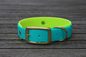 Preview: Biothane Halsband 19/25mm "bicolor" (Schnalle) bicolor: türkis-grün / apfel-grün — handgefertigt