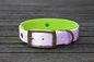 Preview: Biothane Halsband 19/25mm "bicolor" (Schnalle) bicolor: lavendel / apfel-grün — handgefertigt