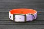 Preview: Biothane Halsband 19/25mm "bicolor" (Schnalle) bicolor: lavendel / neon-orange — handgefertigt