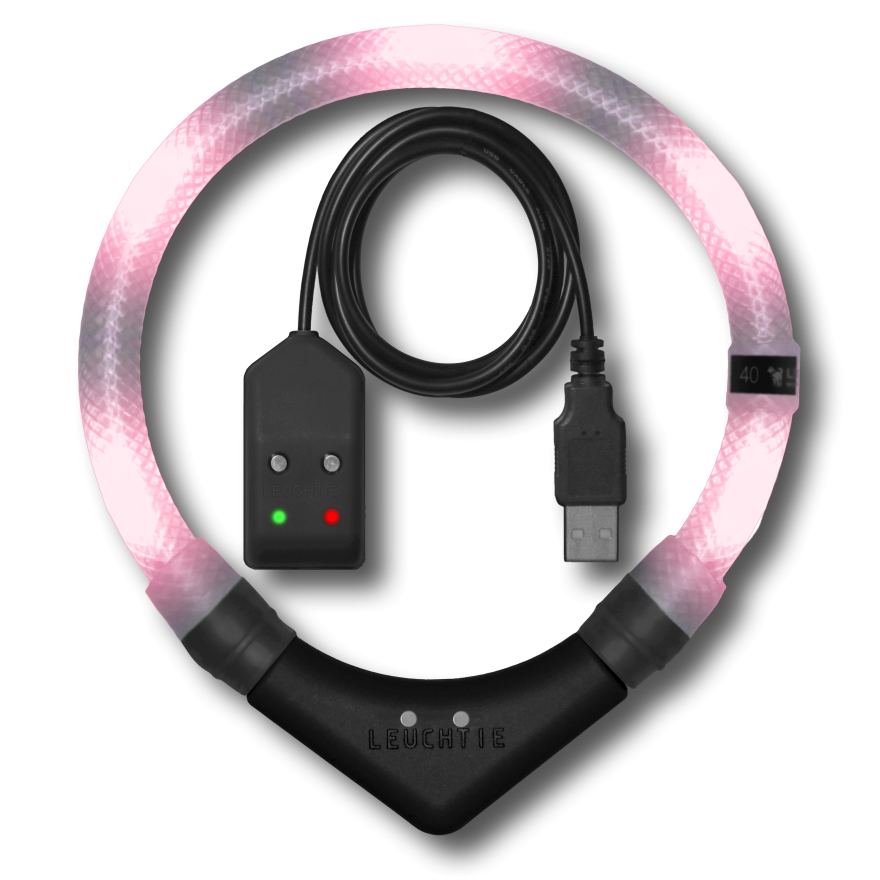 Preview: LEUCHTIE Easy Charge LED-Halsband für Hunde in Blush — wasserdicht, mit Bewegungssensor, Handarbeit aus Deutschland