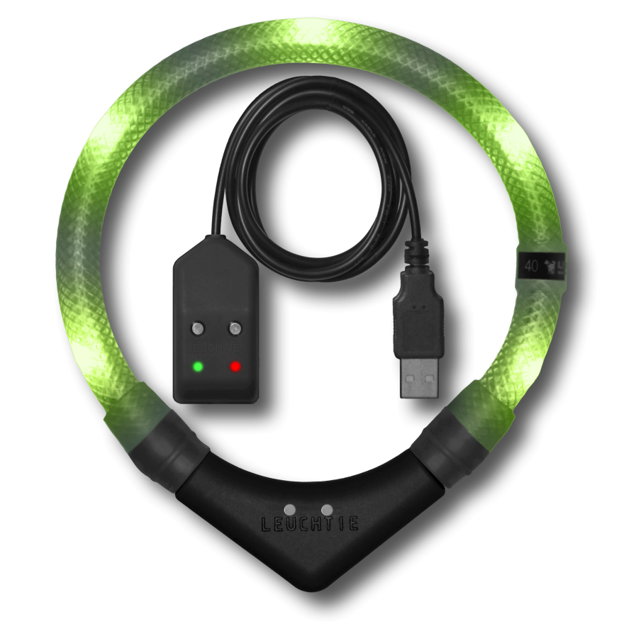 Preview: LEUCHTIE Easy Charge LED-Halsband für Hunde in Limette — wasserdicht, mit Bewegungssensor, Handarbeit aus Deutschland