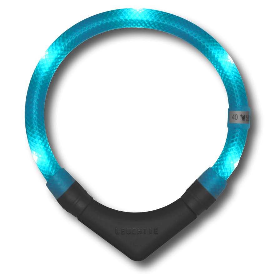 Preview: LEUCHTIE Plus collier LED pour chien en Turquoise — étanche, avec capteur de mouvement, fait main en Allemagne