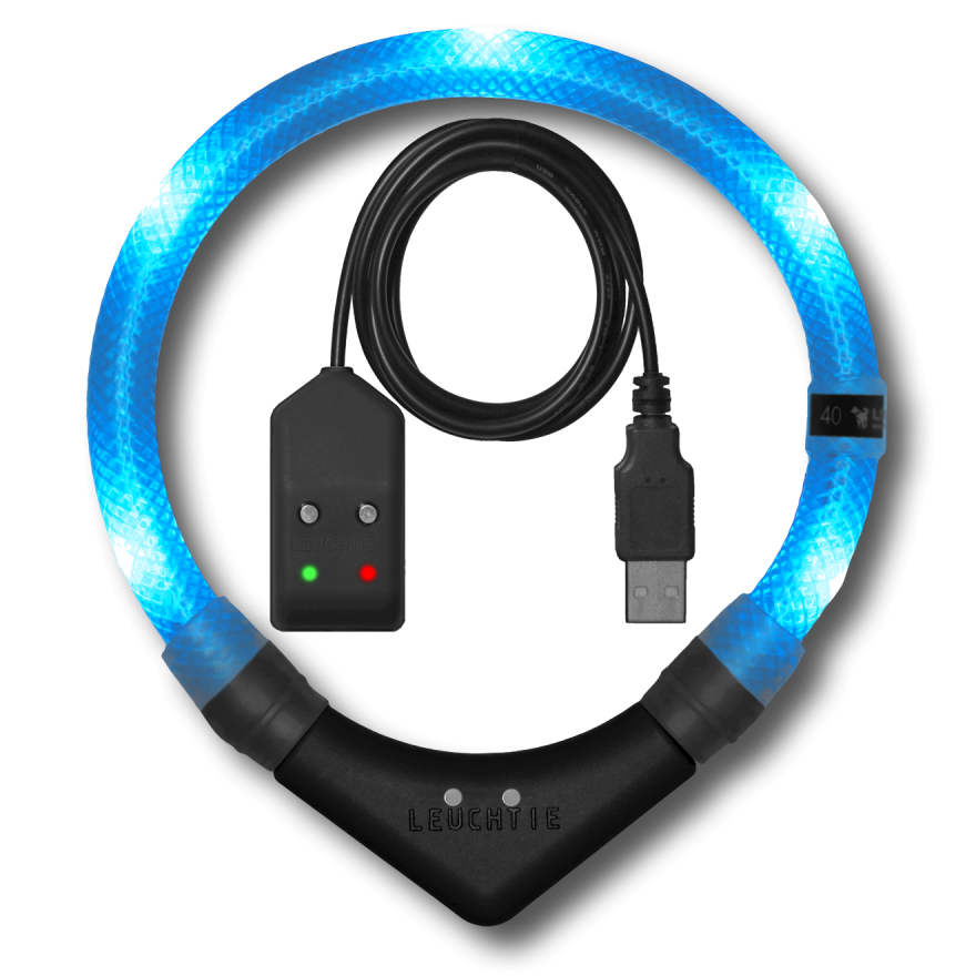 Preview: LEUCHTIE Easy Charge LED-Halsband für Hunde in Eisblau — wasserdicht, mit Bewegungssensor, Handarbeit aus Deutschland