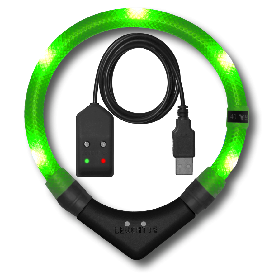 Preview: LEUCHTIE Easy Charge LED-Halsband für Hunde in Neongrün — wasserdicht, mit Bewegungssensor, Handarbeit aus Deutschland