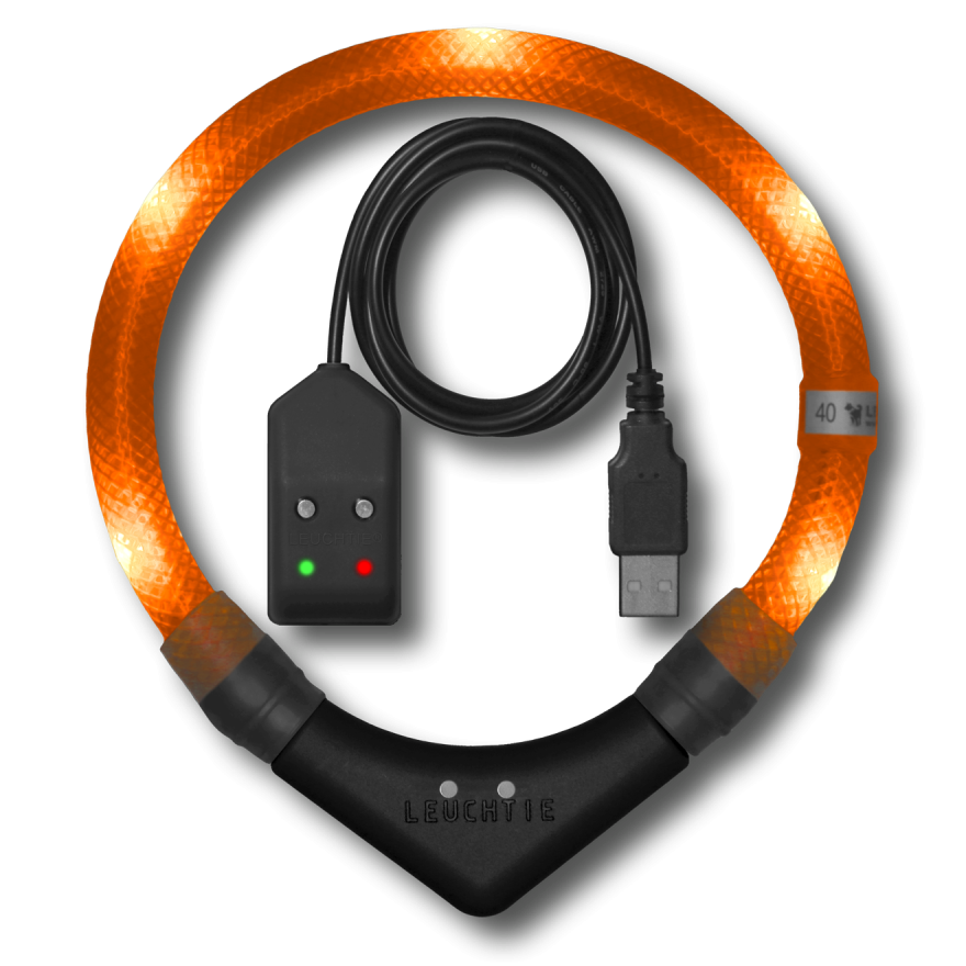 Preview: LEUCHTIE Easy Charge LED-Halsband für Hunde in Sunset-Orange — wasserdicht, mit Bewegungssensor, Handarbeit aus Deutschland