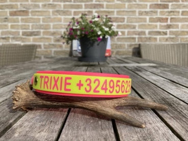 Biothane Halsband MIT PRINT 19/25mm "bicolor" (Clic Kunststoff)
