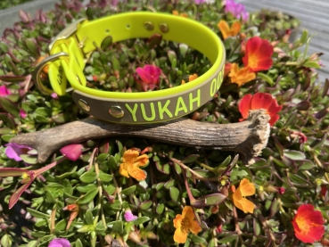 Biothane Halsband+PRINT 19/25 "bicolor" (Schnalle)