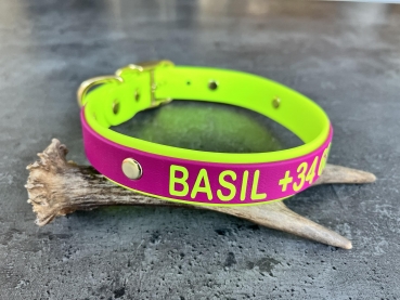 Biothane Halsband+PRINT 19/25 "bicolor" (Schnalle)