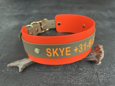 Preview: Biothane Halsband MIT PRINT 25/50mm "bicolor" (Schnalle)