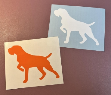 1 GRATIS Sticker bei jeder Bestellung -adorit-August-Aktion-