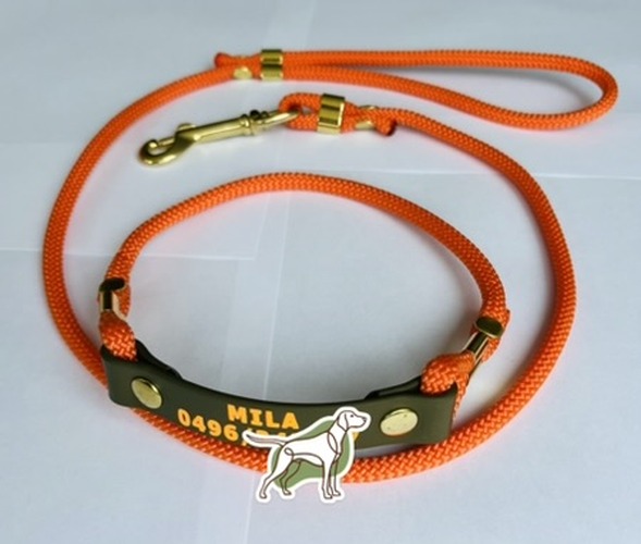 FieldTrial SET (Halsband mit PRINT + Leine)