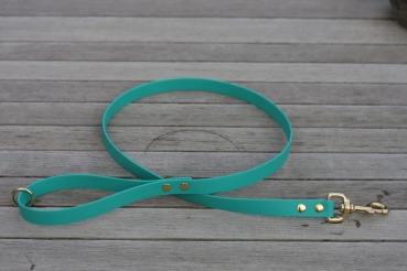 Biothane Leine 19mm