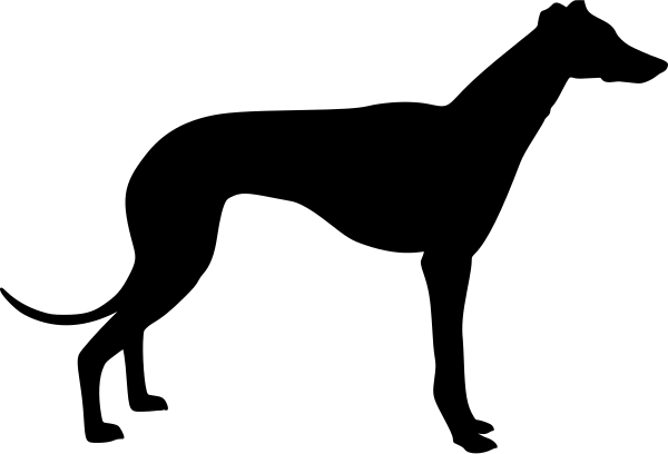 Car-Sticker "Afghane"
