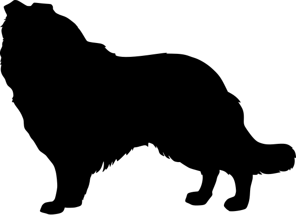 Car-Sticker "Collie"