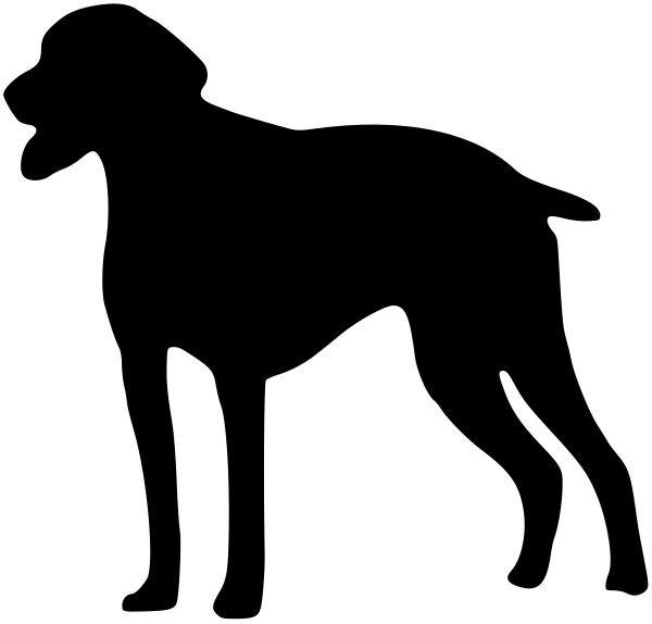 Car-Sticker "English Pointer"