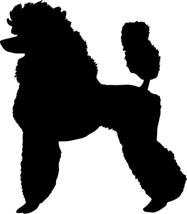 Car-Sticker "Caniche"