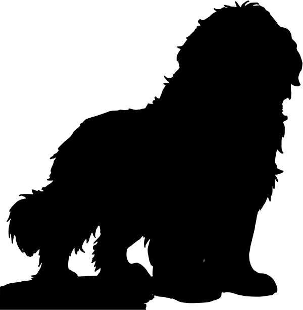 Car-Sticker "Saint Bernard"