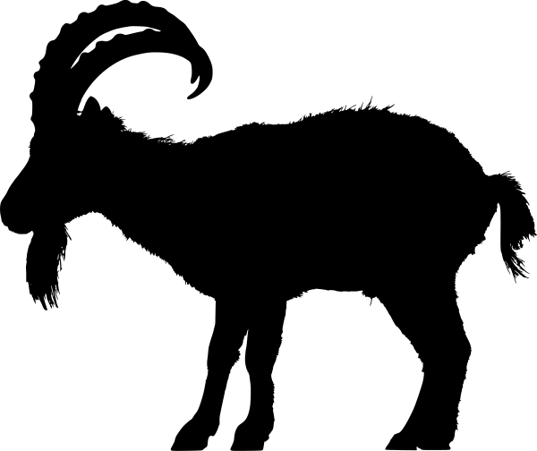 Car-Sticker "Alpensteinbock"