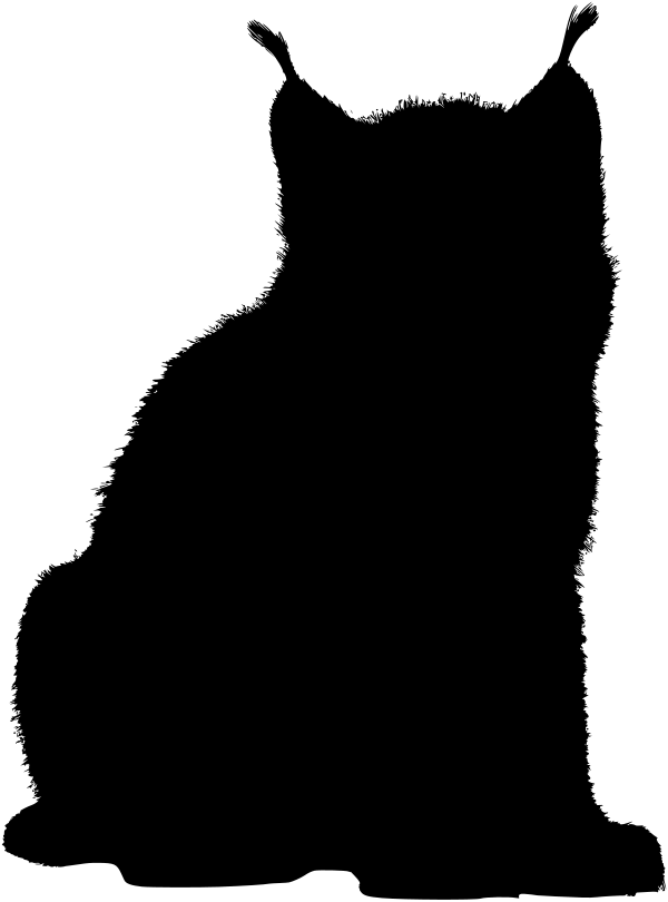 Car-Sticker "Lynx 2"
